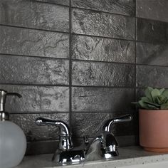 two faucets and a potted succulent sit on a counter top