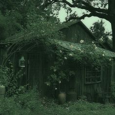 an old wooden shed with vines growing over it's roof and door, next to a large tree