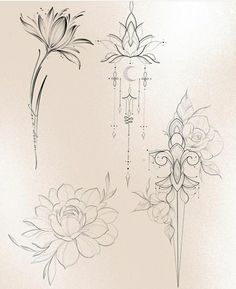 some flowers are drawn in pencil on a white paper and it is very nice to draw