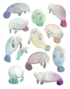 an image of sea animals painted in watercolors on white paper with pastel colors