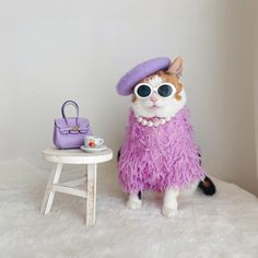 a cat in a purple outfit and hat next to a small table with a purse on it