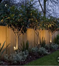 a fence with some plants and lights on it