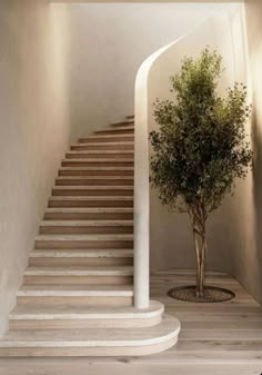 a tree sitting in the middle of a room next to a stair case with light coming through it