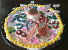 a cake decorated with many different types of candies