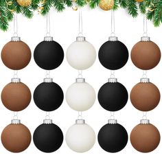 twelve black and white christmas balls hanging from a tree branch with gold ornaments on it