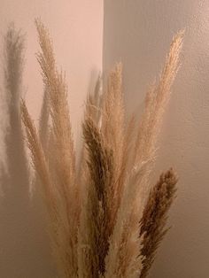 some brown and white flowers in a vase on a table with a wall behind it