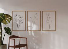 three framed pictures hang on the wall next to a chair and a potted plant