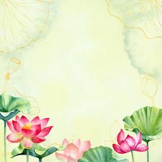 watercolor painting of pink lotus flowers and green leaves on yellow background with space for text