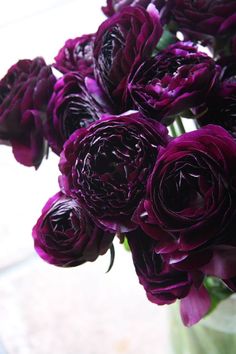 a vase filled with purple flowers sitting on top of a table next to a window