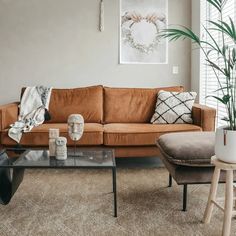 a living room filled with furniture and a potted plant on top of a table