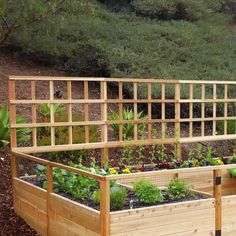 a wooden garden box filled with lots of plants