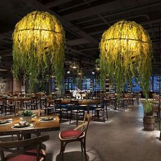 a restaurant with tables, chairs and plants hanging from the ceiling above them is lit by yellow lights