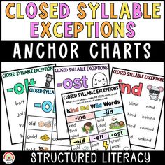 an anchor chart with the words and pictures in it to help students understand what they are reading