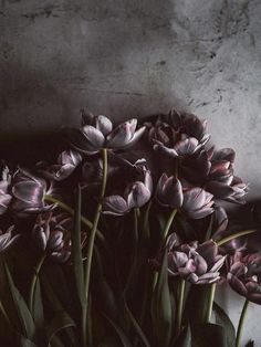 purple tulips are arranged in a vase on a table with concrete walls behind them