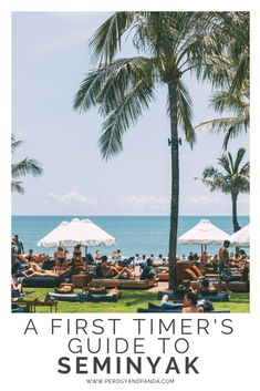 people are sitting under umbrellas on the grass by the ocean with palm trees in the foreground