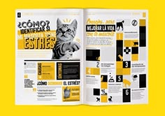 an open magazine with a cat on the front and back pages in yellow, black and white