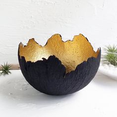 a black and gold bowl sitting on top of a white table next to an air plant