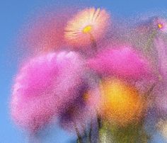 blurry photograph of pink and yellow flowers against a blue sky with no clouds in the background