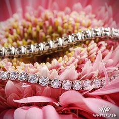 2.30ctw Four-Prong Timeless Diamond Tennis Bracelet Bracelet Shop, Diamond Tennis Bracelet, Romantic Gestures, Tennis Bracelet Diamond