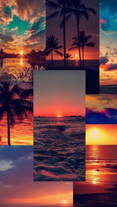 a collage of sunsets and palm trees on the beach with water in the foreground