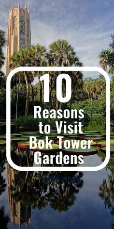 the words 10 reasons to visit book tower gardens in front of palm trees and water