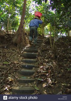 a young boy walking up some steps in the woods with a helmet on his head