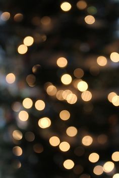 a blurry christmas tree with lights in the background