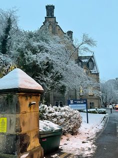 snow covered trees and bushes on the side of a road in front of a building