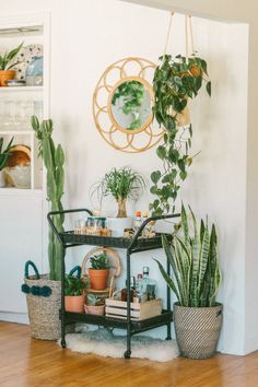 some plants are sitting on a shelf in a room