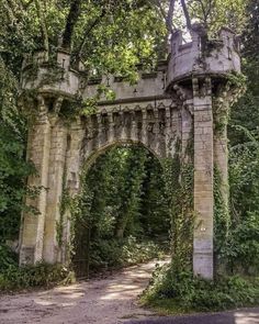 an old stone arch in the middle of a forest with vines growing all over it