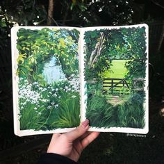 a hand holding up an open book with watercolor paintings on it and trees in the background