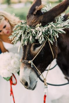 a bride and groom are standing next to a donkey with flowers in it's bridle