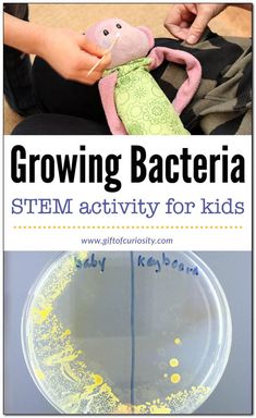 a kid's hand holding a stuffed animal in front of a plastic bowl filled with yellow liquid