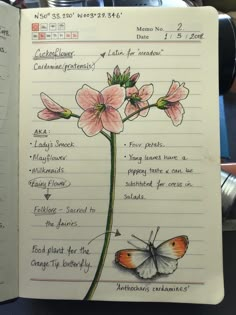 an open notebook with drawings of flowers and butterflies on the page next to each other