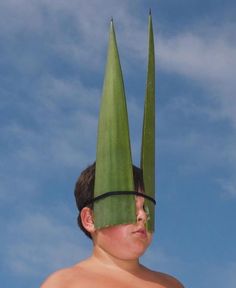 a young boy with two large green plants on his head, against a blue sky