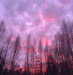 sky view Pink Hour Aesthetic, Pink Hour, Purple Clouds, Sunrise Aesthetic, Aesthetic Forest, Forest Sunset, Jewelry Diamonds, Theme Color, Purple Sky