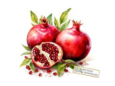 two pomegranates with leaves on the side