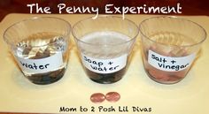 three cups with coins in them and labeled the penny experiment on each one side, along with labels that read mom to 2 posh lil diyas