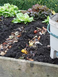 a garden filled with lots of dirt and plants