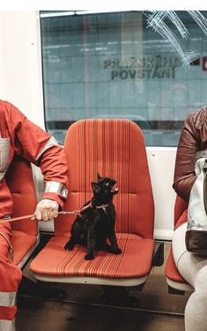 two people sitting on a train with a dog tied to the seat and another person standing next to them