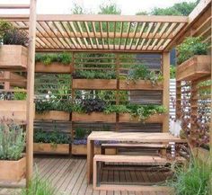 an outdoor garden with wooden benches and plants