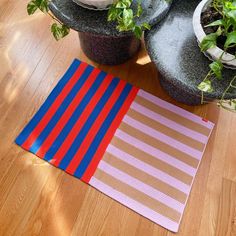 two potted plants on top of a wooden floor next to a red and blue striped rug