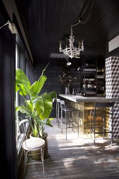 an indoor bar with chairs and a potted plant next to it on a wooden floor