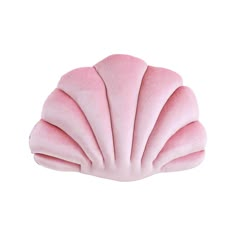 a pink scallop shell on a white background