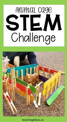 Jungle Theme Stem Activities, Construction Summer Camp Ideas, Jungle Stem Activities, Stem Preschool, Elementary Stem, Stem Building, Stem Activities Preschool, Kindergarten Stem, Building Challenge