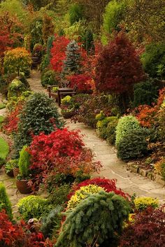 a garden filled with lots of different types of trees