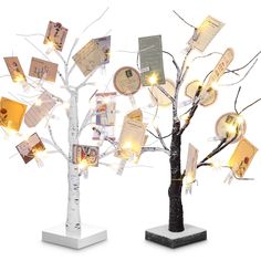 PRICES MAY VARY. What Can You Receive: you will obtain 2 pieces money tree gift holders with 30 pieces clear clips, 32 pieces in total, sufficient to meet your different preferences; Elegant in design and rich in combination, you can decorate your photos, cards, and more on the tree, with soft and warm white LED lights, to increase the festive atmosphere Serve You for a Long Time: made of quality plastic materials, these gift card tree holder are firm and reliable, not easy to break or fade for Family Tree Centerpieces, Birthday Gift Card Tree, Gift Card Christmas Tree, Money Tree Gift Card Holder, Gift Card Holder Tree, Money Tree Wedding Shower Ideas, Money Tree For Wedding Shower Cute Ideas, Wedding Shower Money Tree, Baby Shower Money Tree