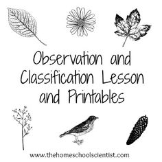 the words observation and classifiction lesson and printables on a white background