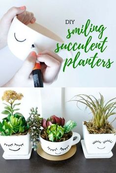 there are three small plants in white pots on the table and one is holding a planter