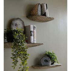 two wooden shelves with plants and books on them